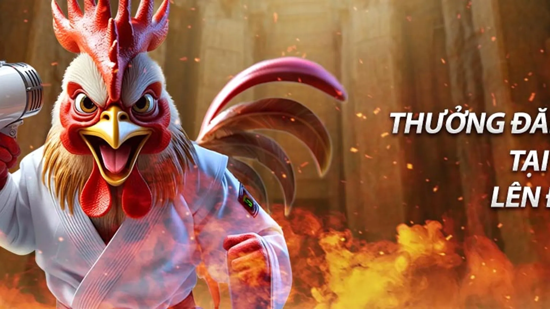 Tổng quan các loại ưu đãi tại Win55