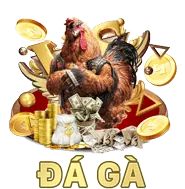 Ảnh đại diện Phạm Thu Hà